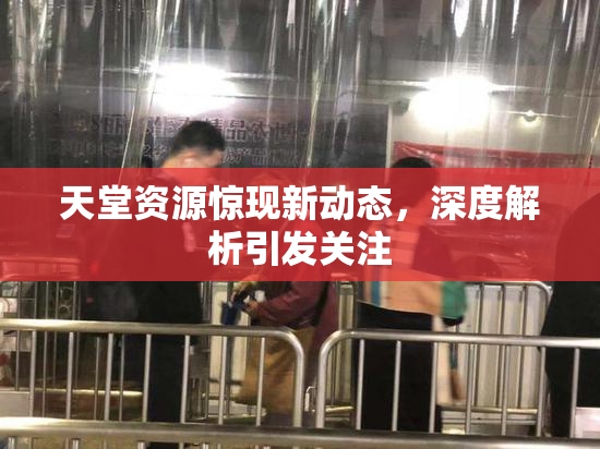 天堂资源惊现新动态，深度解析引发关注