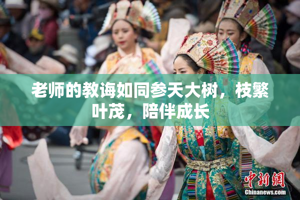 老师的教诲如同参天大树，枝繁叶茂，陪伴成长