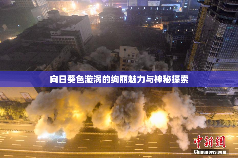 向日葵色漩涡的绚丽魅力与神秘探索
