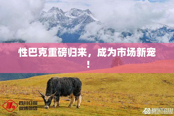 性巴克重磅归来，成为市场新宠！