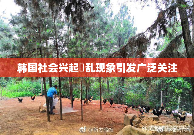 韩国社会兴起婬乱现象引发广泛关注