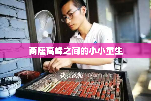 两座高峰之间的小小重生