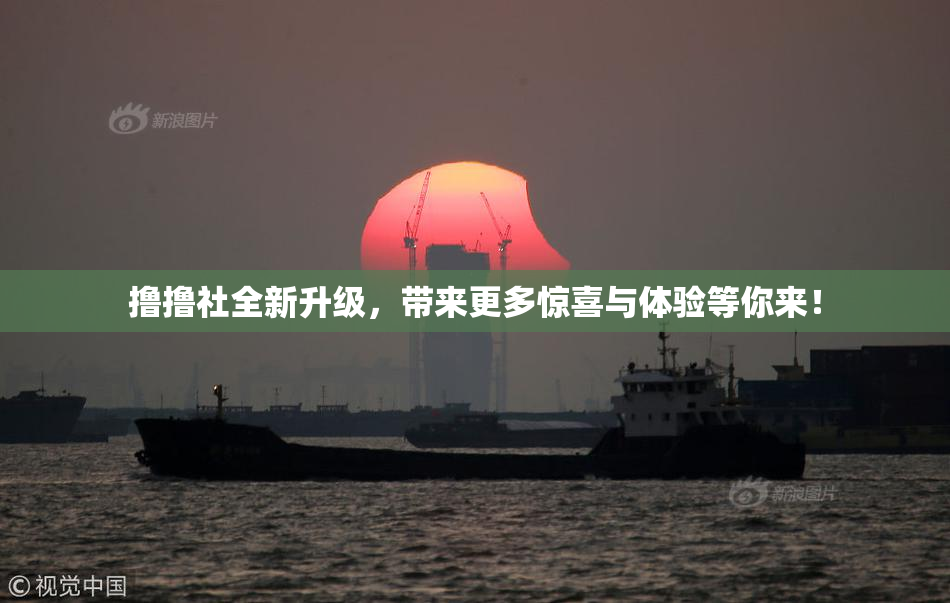 撸撸社全新升级，带来更多惊喜与体验等你来！