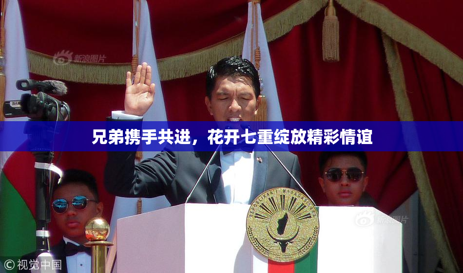兄弟携手共进，花开七重绽放精彩情谊