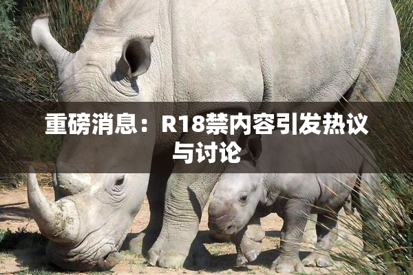 重磅消息：R18禁内容引发热议与讨论