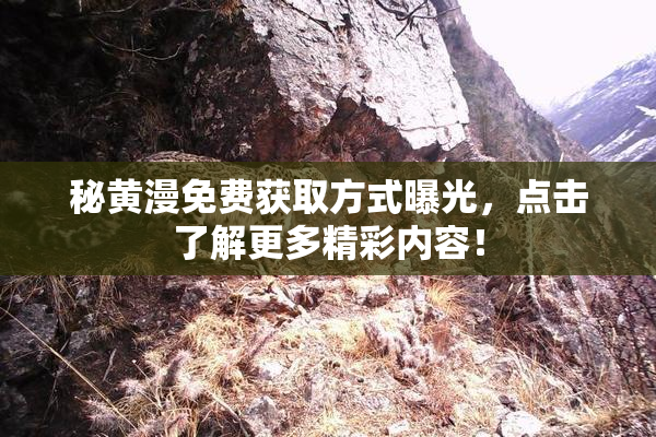 秘黄漫免费获取方式曝光，点击了解更多精彩内容！