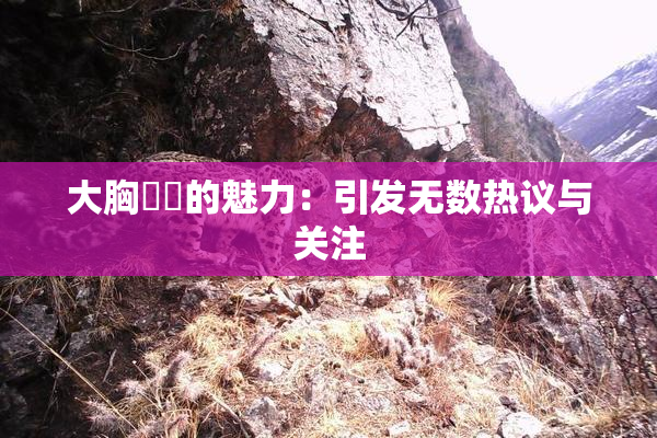 大胸❌‌的魅力：引发无数热议与关注