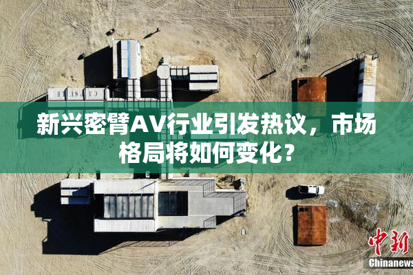 新兴密臂AV行业引发热议，市场格局将如何变化？