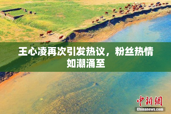 王心凌再次引发热议，粉丝热情如潮涌至