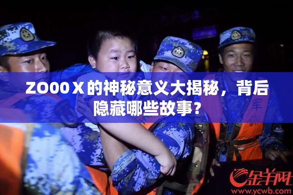 ZO00Ⅹ的神秘意义大揭秘，背后隐藏哪些故事？