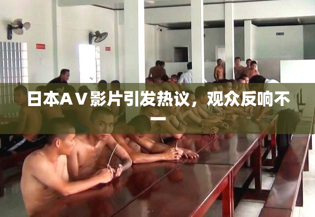 日本AⅤ影片引发热议，观众反响不一