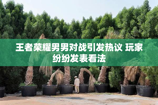 王者荣耀男男对战引发热议 玩家纷纷发表看法