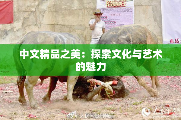 中文精品之美：探索文化与艺术的魅力