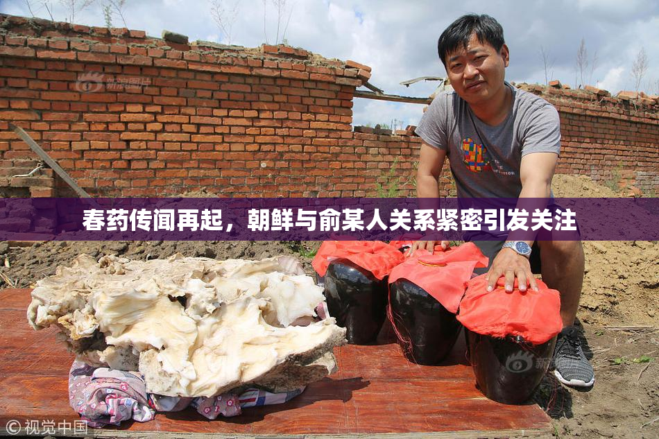 春药传闻再起，朝鲜与俞某人关系紧密引发关注