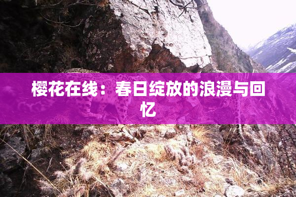 樱花在线：春日绽放的浪漫与回忆