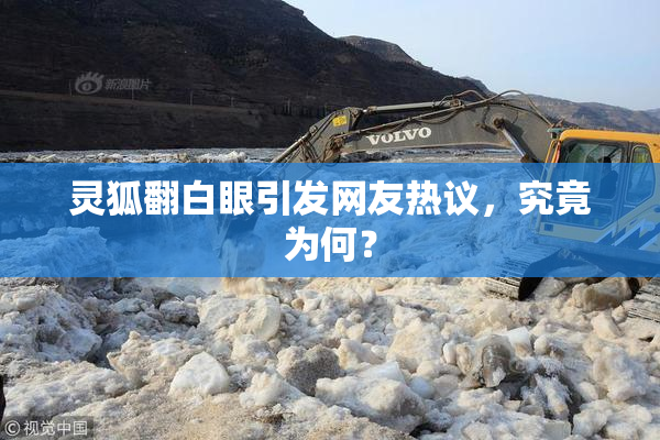 灵狐翻白眼引发网友热议，究竟为何？