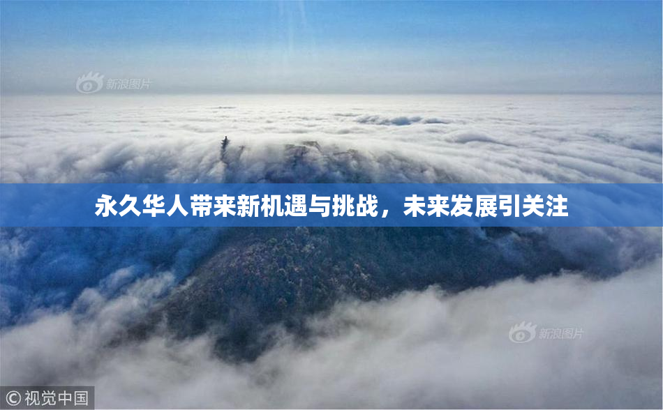永久华人带来新机遇与挑战，未来发展引关注
