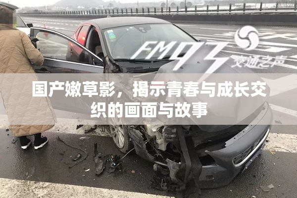 国产嫩草影，揭示青春与成长交织的画面与故事