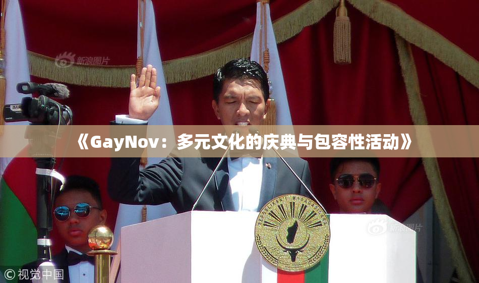 《GayNov：多元文化的庆典与包容性活动》