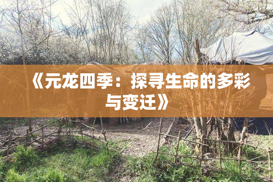 《元龙四季：探寻生命的多彩与变迁》
