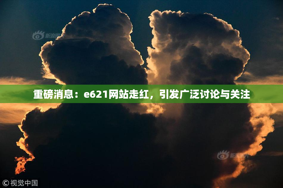 重磅消息：e621网站走红，引发广泛讨论与关注