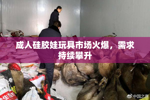成人硅胶娃玩具市场火爆，需求持续攀升