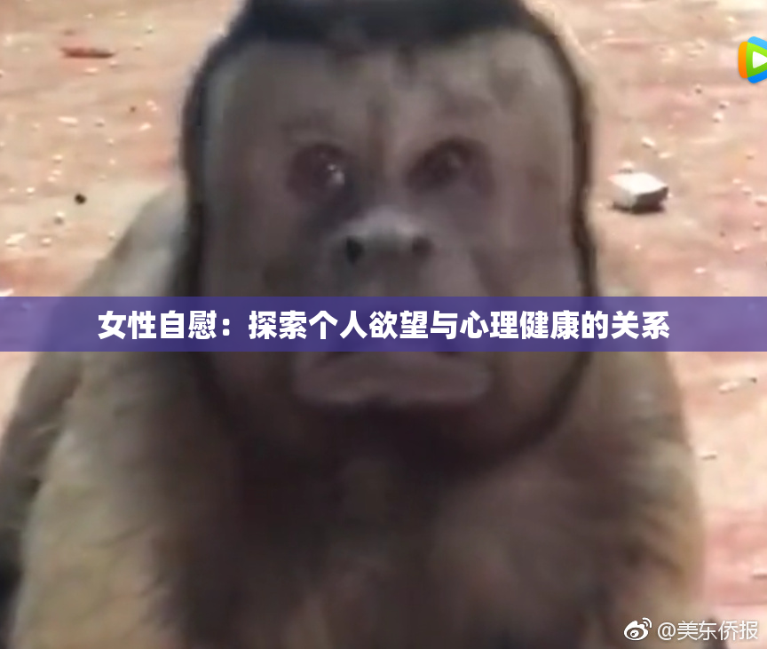 女性自慰：探索个人欲望与心理健康的关系