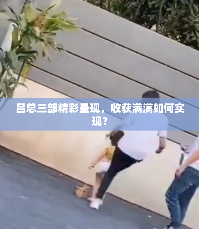 吕总三部精彩呈现，收获满满如何实现？