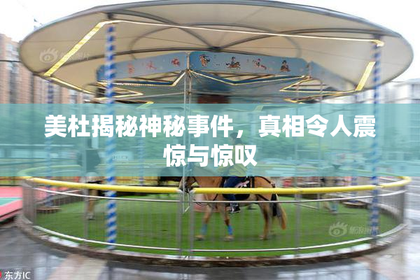 美杜揭秘神秘事件，真相令人震惊与惊叹