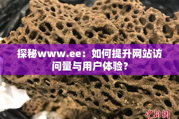 探秘www.ee：如何提升网站访问量与用户体验？