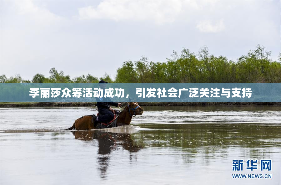李丽莎众筹活动成功，引发社会广泛关注与支持