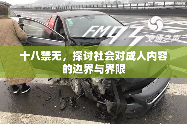 十八禁无，探讨社会对成人内容的边界与界限