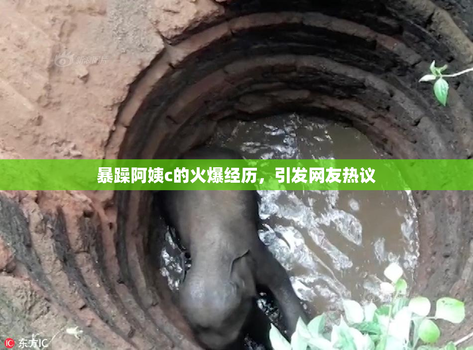 暴躁阿姨c的火爆经历，引发网友热议