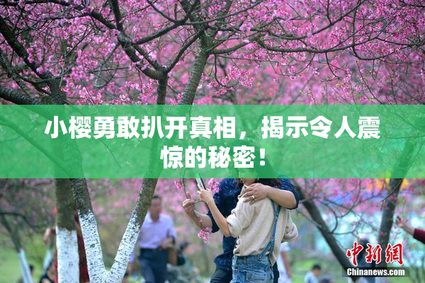 小樱勇敢扒开真相，揭示令人震惊的秘密！