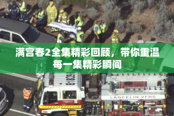 满宫春2全集精彩回顾，带你重温每一集精彩瞬间