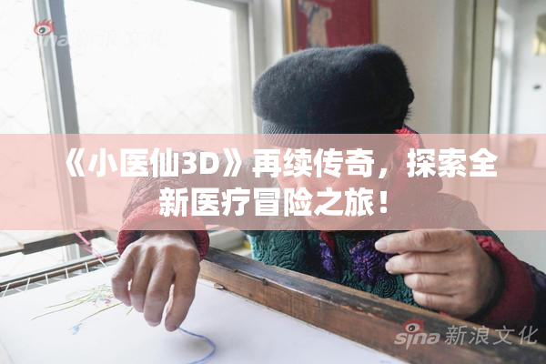 《小医仙3D》再续传奇，探索全新医疗冒险之旅！