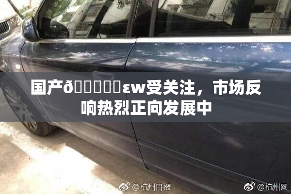 国产🔞❌‌εw受关注，市场反响热烈正向发展中
