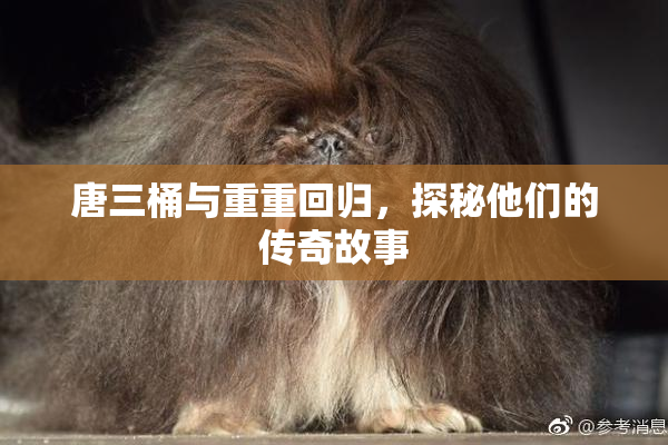 唐三桶与重重回归，探秘他们的传奇故事