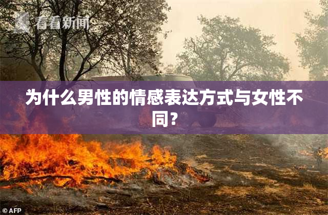 为什么男性的情感表达方式与女性不同？
