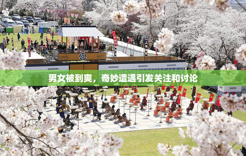 男女被到爽，奇妙遭遇引发关注和讨论