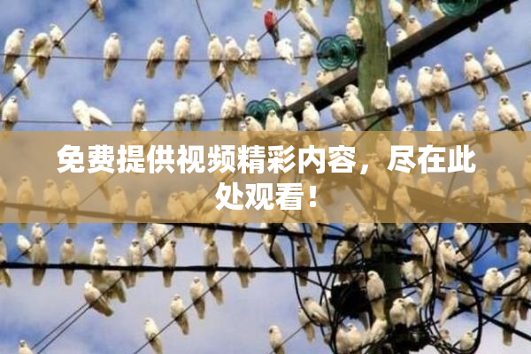 免费提供视频精彩内容，尽在此处观看！