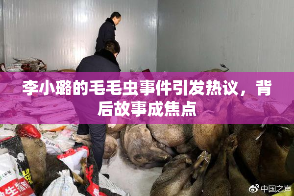 李小璐的毛毛虫事件引发热议，背后故事成焦点