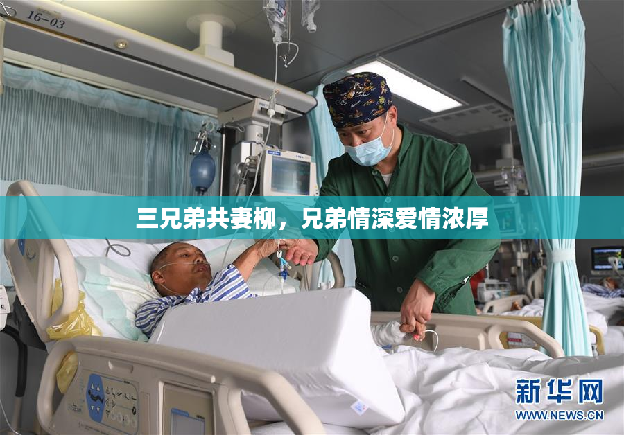 三兄弟共妻柳，兄弟情深爱情浓厚