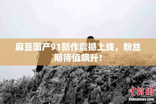 麻豆国产91新作震撼上线，粉丝期待值飙升！
