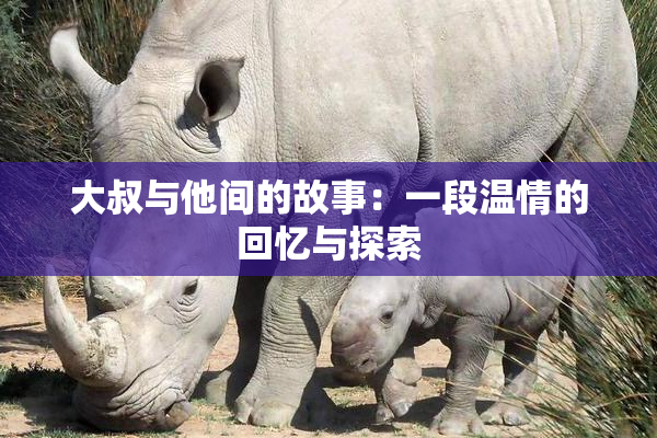 大叔与他间的故事：一段温情的回忆与探索