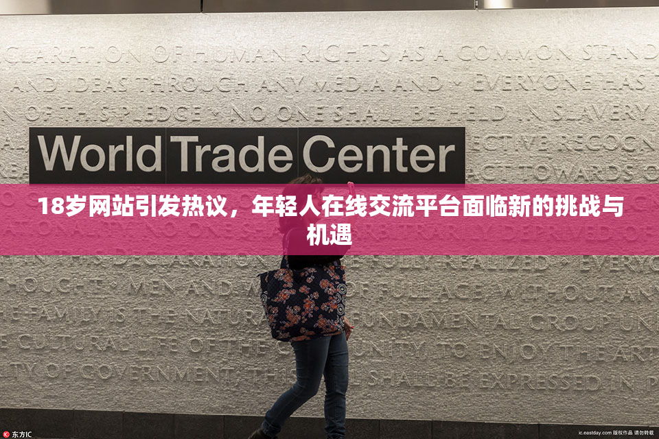 18岁网站引发热议，年轻人在线交流平台面临新的挑战与机遇