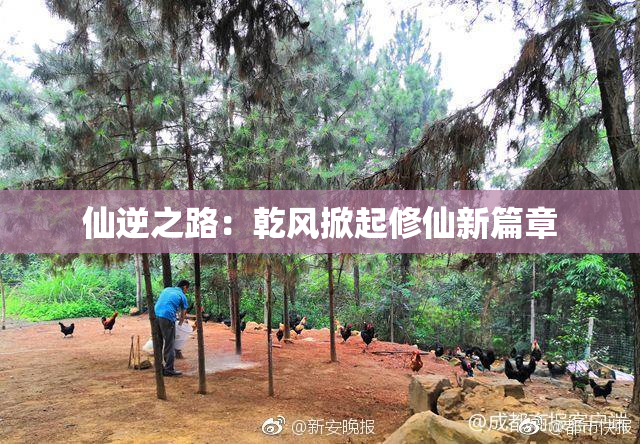 仙逆之路：乾风掀起修仙新篇章