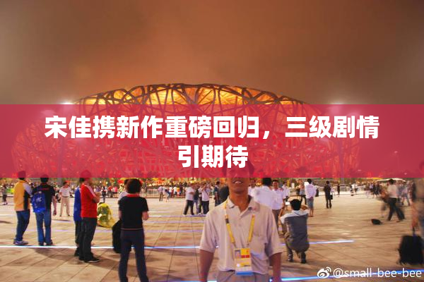 宋佳携新作重磅回归，三级剧情引期待
