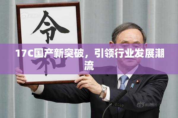 17C国产新突破，引领行业发展潮流