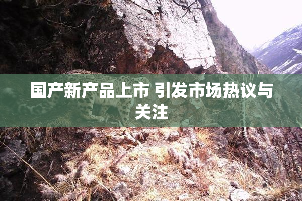 国产新产品上市 引发市场热议与关注